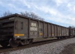CIGX 803938